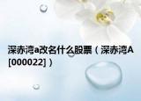 深赤湾a改名什么股票（深赤湾A[000022]）