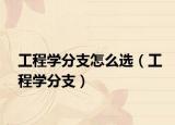 工程学分支怎么选（工程学分支）