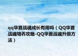 qq华夏战魂成长有用吗（QQ华夏战魂培养攻略-QQ华夏战魂升级方法）