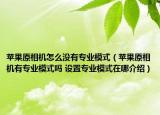 苹果原相机怎么没有专业模式（苹果原相机有专业模式吗 设置专业模式在哪介绍）