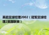 英超足球经理2002（冠军足球经理2英国联赛）