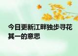 今日更新江畔独步寻花其一的意思