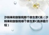 沙棘果和猕猴桃那个维生素C高（沙棘果和猕猴桃哪个维生素C高详细介绍）