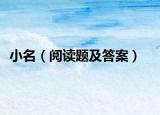 小名（阅读题及答案）