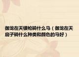 御龙在天银枪骑什么马（御龙在天扇子骑什么种类和颜色的马好）