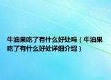 牛油果吃了有什么好处吗（牛油果吃了有什么好处详细介绍）