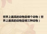 世界上最高的动物是哪个动物（世界上最高的动物是哪三种动物）