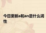 今日更新a和an是什么词性