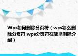 Wps如何删除分页符（wps怎么删除分页符 wps分页符在哪里删除介绍）