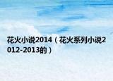 花火小说2014（花火系列小说2012-2013的）