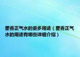 藿香正气水的更多用途（藿香正气水的用途有哪些详细介绍）