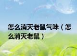 怎么消灭老鼠气味（怎么消灭老鼠）