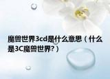 魔兽世界3cd是什么意思（什么是3C魔兽世界?）