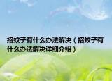招蚊子有什么办法解决（招蚊子有什么办法解决详细介绍）