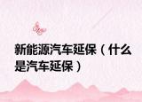 新能源汽车延保（什么是汽车延保）