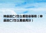 神庙逃亡2怎么看勋章等级（神庙逃亡2怎么看最高分）