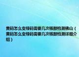 黄码怎么变绿码需要几次核酸检测佛山（黄码怎么变绿码需要几次核酸检测详细介绍）