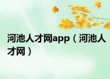 河池人才网app（河池人才网）