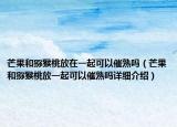 芒果和猕猴桃放在一起可以催熟吗（芒果和猕猴桃放一起可以催熟吗详细介绍）