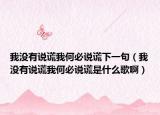 我没有说谎我何必说谎下一句（我没有说谎我何必说谎是什么歌啊）