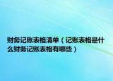 财务记账表格清单（记账表格是什么财务记账表格有哪些）