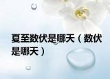 夏至数伏是哪天（数伏是哪天）