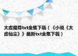 太虚魔尊txt全集下载（《小说《太虚仙尘》》最新txt全集下载）