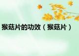 猴菇片的功效（猴菇片）