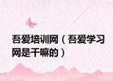 吾爱培训网（吾爱学习网是干嘛的）