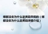 哪都没去为什么是黄码阜阳的（哪都没去为什么是黄码详细介绍）