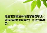 魔兽世界藏宝海湾纳尔克在哪儿（藏宝海湾的纳尔克在什么地方具体的）