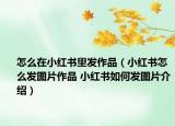 怎么在小红书里发作品（小红书怎么发图片作品 小红书如何发图片介绍）