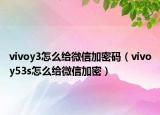 vivoy3怎么给微信加密码（vivoy53s怎么给微信加密）