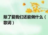 除了爱我们还能做什么（歌词）