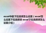 excel中的下拉选项怎么设置（excel怎么设置下拉选择项 excel下拉选择项怎么设置介绍）