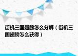 街机三国翅膀怎么分解（街机三国翅膀怎么获得）