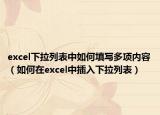 excel下拉列表中如何填写多项内容（如何在excel中插入下拉列表）