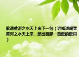 歌词黄河之水天上来下一句（谁知道喝罢黄河之水天上来…是出自那一首歌的歌词）