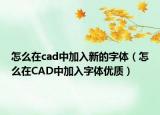 怎么在cad中加入新的字体（怎么在CAD中加入字体优质）