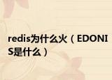 redis为什么火（EDONIS是什么）