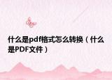 什么是pdf格式怎么转换（什么是PDF文件）