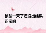 核酸一天了还没出结果正常吗