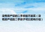 没有房产证的二手房能不能买（没有房产证的二手房子可以买吗介绍）