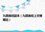 九阴真经副本（九阴真经上天梯哪出）