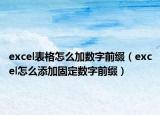excel表格怎么加数字前缀（excel怎么添加固定数字前缀）