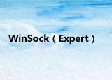 WinSock（Expert）