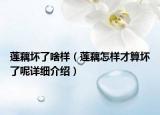 莲藕坏了啥样（莲藕怎样才算坏了呢详细介绍）