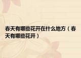 春天有哪些花开在什么地方（春天有哪些花开）
