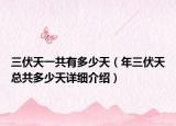 三伏天一共有多少天（年三伏天总共多少天详细介绍）