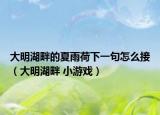 大明湖畔的夏雨荷下一句怎么接（大明湖畔 小游戏）